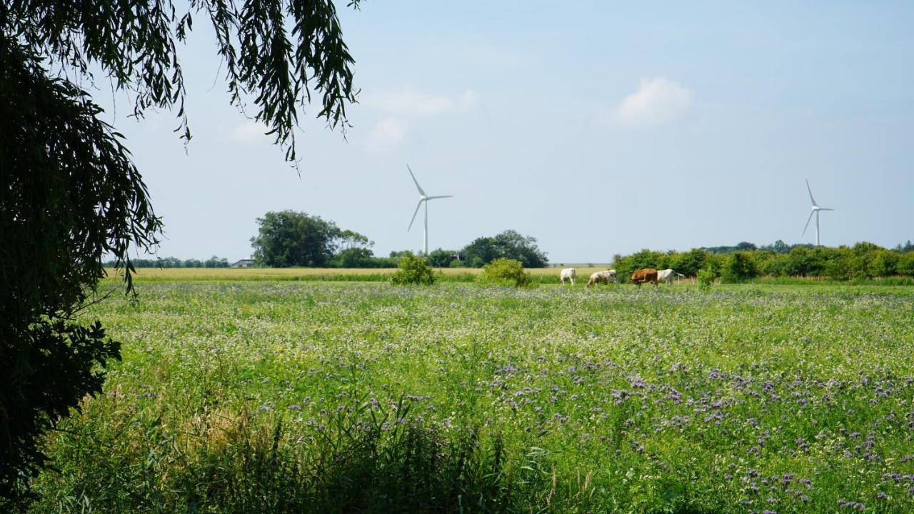 Ferienhaus Achtern Diek Emmelsbull-Horsbull ภายนอก รูปภาพ
